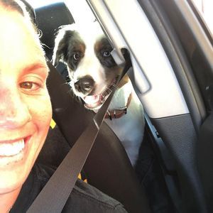 Meet your Posher, Cait